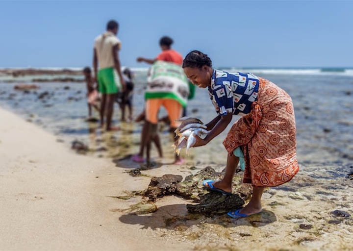 Transformative Change Will Save a Planet in PerilIPBES